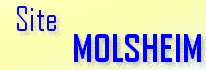 logo_molsheim